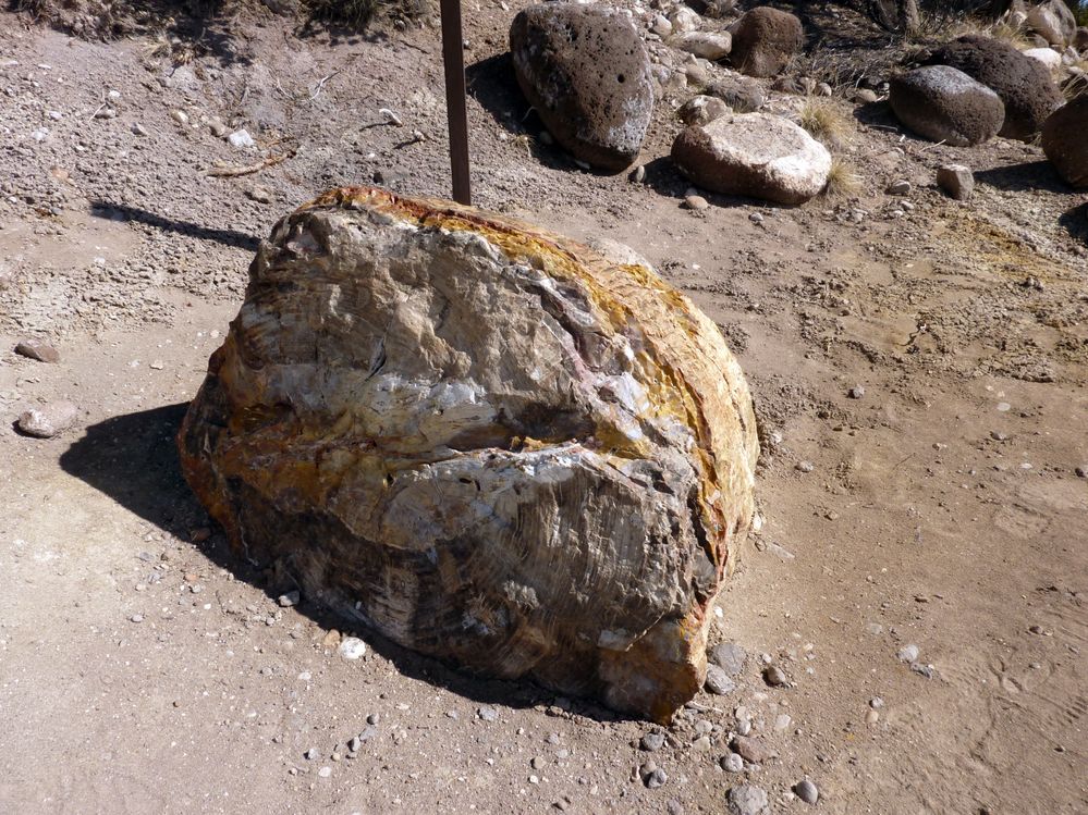 Escalante state park (23).JPG
